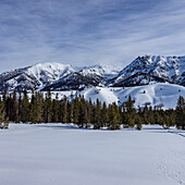 USA, Idaho, Sun Valley, Schneebedeckte Berggipfel und Bäume