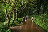 Fort Canning Park, Singapore, Southeast Asia, Asia