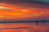 Surfer silhouetted on Guiones Beach where many come to relax and surf at sunset, Playa Guiones, Nosara, Guanacaste, Costa Rica, Central America