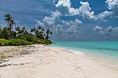 White sand beach on Bangaram island, Lakshadweep archipelago, Union territory of India, Indian Ocean, Asia