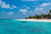 Palmengesäumter weißer Sandstrand, Insel Agatti, Lakshadweep Archipel, Unionsterritorium von Indien, Indischer Ozean, Asien