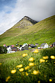 Traditional houses in the small village of Kunoy in the flowering meadows, Kunoy Island, Faroe Islands, Denmark, Europe