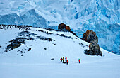 Hikers climbing Half Moon Island, South Shetland Islands, Antarctica, Polar Regions