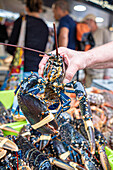 Lobsters in a market