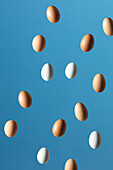Eggs against a blue background