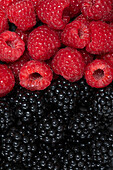 raspberries and blackberries