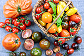 Variety of tomato varieties