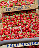 Strawberries in plastic cartons