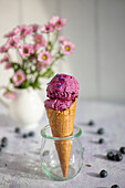 Healthy blueberry ice cream
