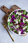 Salad with purple Chinese cabbage