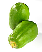 Green papaya, Carica papaya