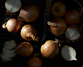 Allium cepa, onions