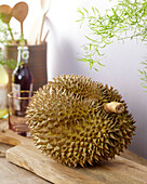 Durian Mon Thong (Durio zibethinus)