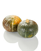 Green pumpkin, Cucurbita