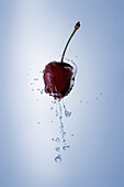 Cherry making a splash