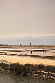 Salt marshes in Trapani