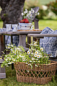 Gartenmöbel mit Kissen und Korb voller Gänseblümchen (Bellis) vor gedecktem Tisch