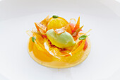 Mint sorbet with citrus fruits and filo pastry chips