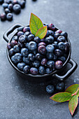 Fresh blueberries in black bowl