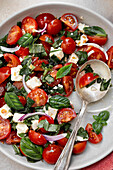 Cherry tomato salad with fresh basil leaves and salad cheese
