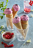 Blackcurrant ice cream cones with poppy seeds