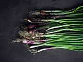 Green onions, herbs, scallion, fresh scallion, fresh herb, herb still life photography,