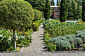 Autumn flowerbeds in the park