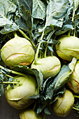 Kohlrabi