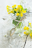 Sträußchen aus Schlüsselblumen (Primula veris) im Weckglas mit Silberlöffel