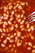 White beans in tomato sauce