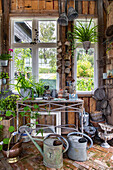 Garden shed with plants and vintage garden decorations