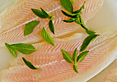 Raw sole fillets with Thai basil