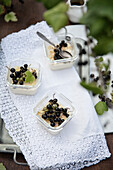 Panna cotta with blackcurrants in small glass dishes