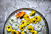 Edible flowers in water