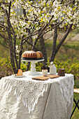 Table setting in spring garden close to cherry tree in blossom. Large bundt cake on white stand on linen table with large white lace napkin