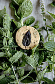 Top view on the only shortbread cookie with mint leaf as a decor. Cookie lays on a mint leaves.
