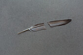 Broken feather on gray background\n