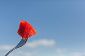 Close up juicy red watermelon on fork against sunny blue summer sky\n