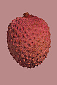 Close up textured detail of red lychee fruit on pink background\n