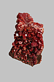 Close up detail textured red Moroccan vanadinite crystal on gray background\n