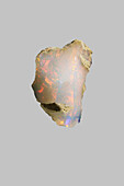 Nahaufnahme irisierender Welo-Opal auf grauem Hintergrund