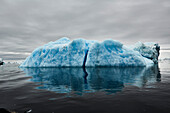 Blaue Eisbergformation auf Meeresoberfläche, Antarktische Halbinsel, Weddellmeer, Antarktis
