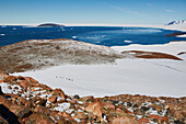 Touristen überqueren sonnigen, verschneiten Gletscher, Antarktische Halbinsel, Weddellmeer, Antarktis