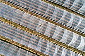 Luftaufnahme von Polyethylentunneln in einem ländlichen Feld, Darmstadt, Deutschland