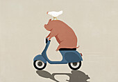 Hahn reitet auf Schwein auf Motorroller