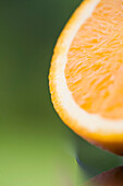 Ausschnitt einer halben Orange