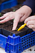 Close up of woman hands planting seedlings\n
