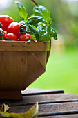 Nahaufnahme von handgepflückten Kirschtomaten und Basilikumblättern in einem Korb