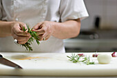 Close up of a chef hands plucking a rosemary twig\n