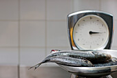 Fish on a weighing scales\n